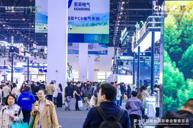 北京储能峰会 (6).jpg