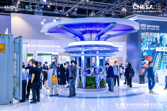 北京储能峰会 (8).jpg